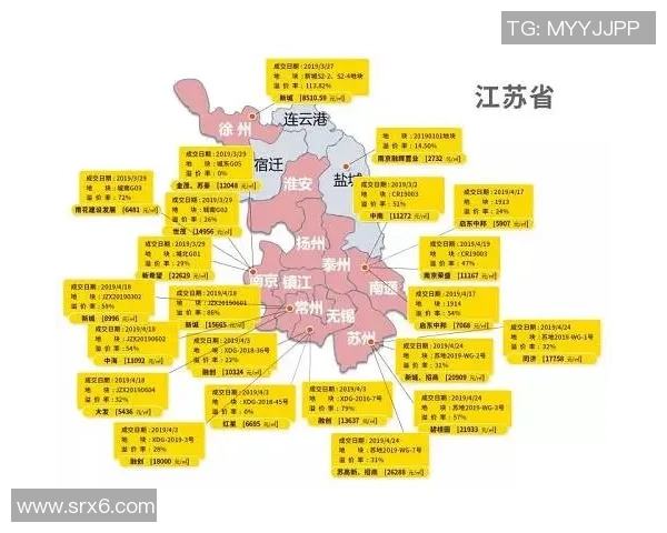 南京排球队的节奏解析与发展趋势探讨